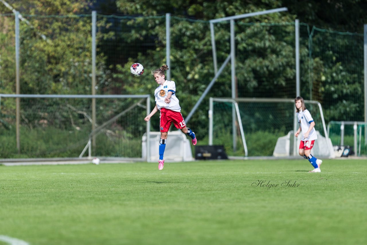 Bild 313 - wBJ Hamburger SV - Holstein Kiel : Ergebnis: 2:0